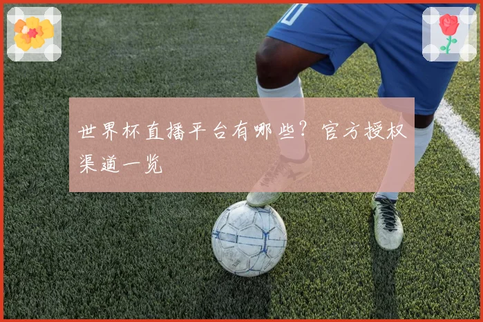 世界杯直播平台有哪些？官方授权渠道一览
