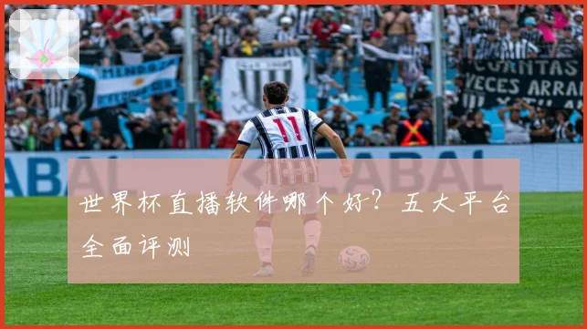 世界杯直播软件哪个好?五大平台全面评测