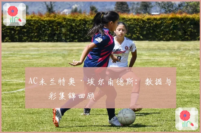 AC米兰特奥·埃尔南德斯：数据与精彩集锦回顾