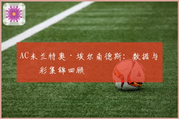 AC米兰特奥·埃尔南德斯：数据与精彩集锦回顾