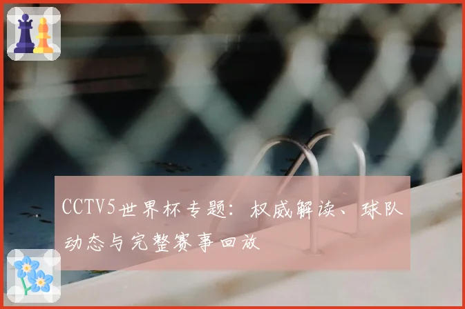 CCTV5世界杯专题:权威解读、球队动态与完整赛事回放