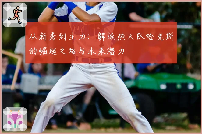 从新秀到主力：解读热火队哈克斯的崛起之路与未来潜力