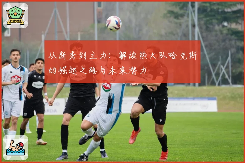 从新秀到主力：解读热火队哈克斯的崛起之路与未来潜力